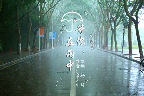 等你在雨中
