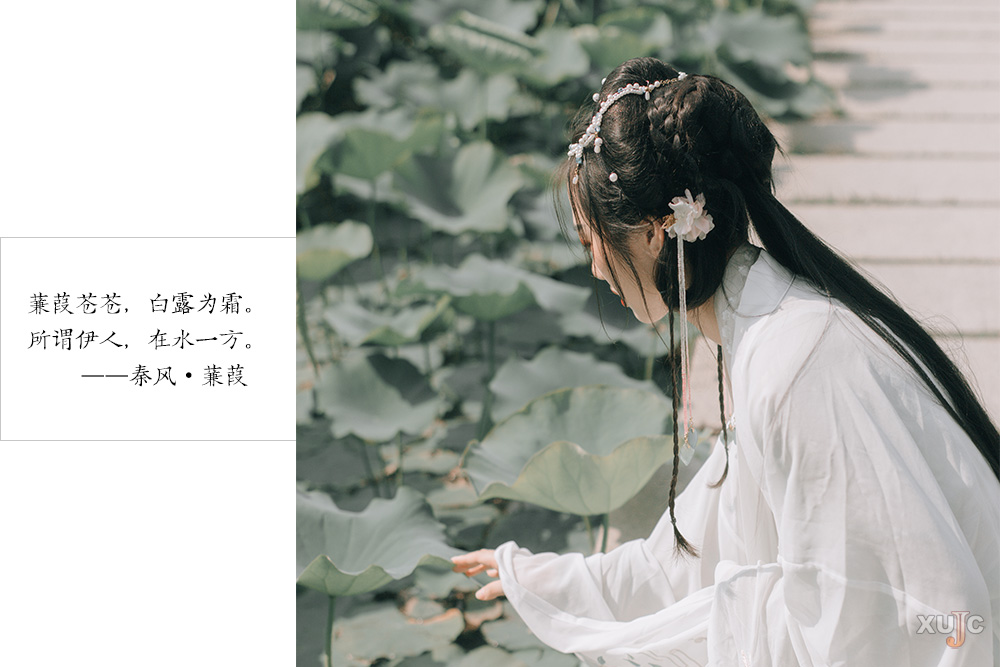 嘉园微海报青青子衿悠悠我心