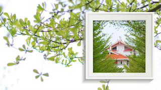 ����԰΢����������úõģ����쾦������Ц���ء��Ρ�